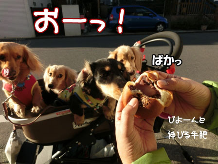 046_2013120100131013e.jpg