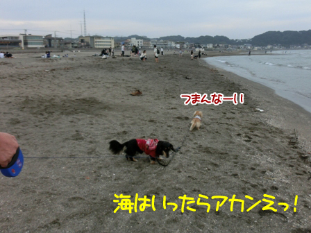 201605304.jpg