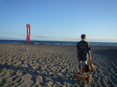 005_20110711232909.jpg