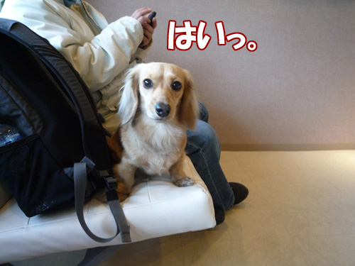 752992fe.jpg