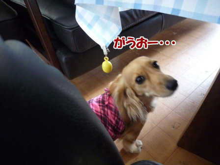 002_20120727235613.jpg