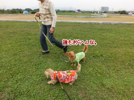20151010021.jpg