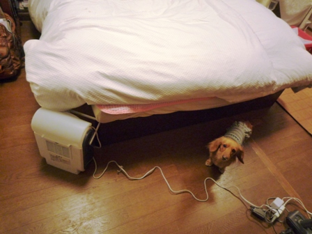 009_20120213222527.jpg
