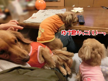 201512141.jpg