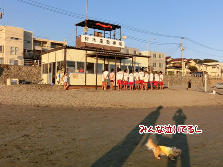 009_20120831220423.jpg