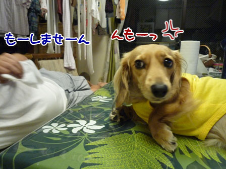 003_20111001001948.jpg
