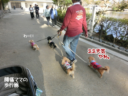 201602221.jpg