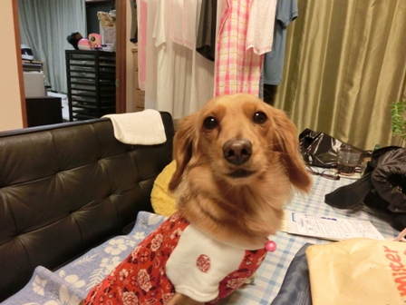 003_20130509010406.jpg