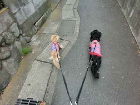 201606173.jpg