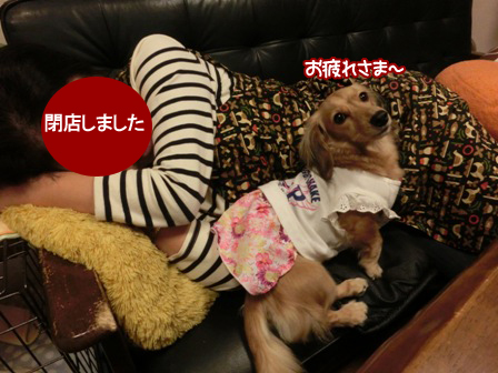 20151025013.jpg