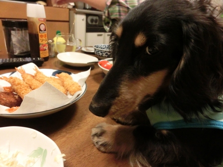 014_2015032700342089c.jpg