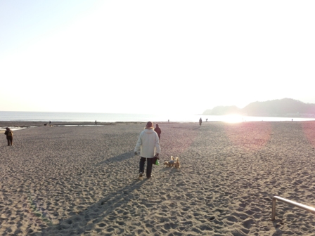 044_20130304232938.jpg