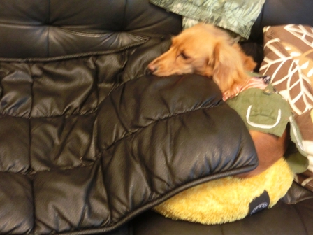001_2014102200403730c.jpg