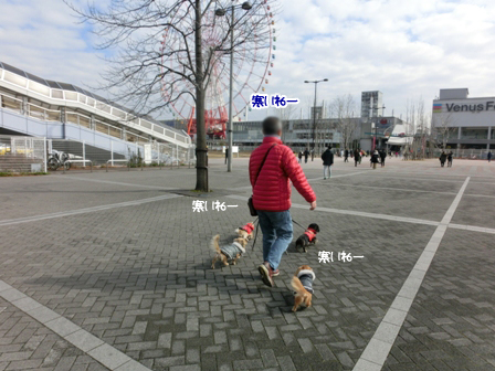2016020101.jpg