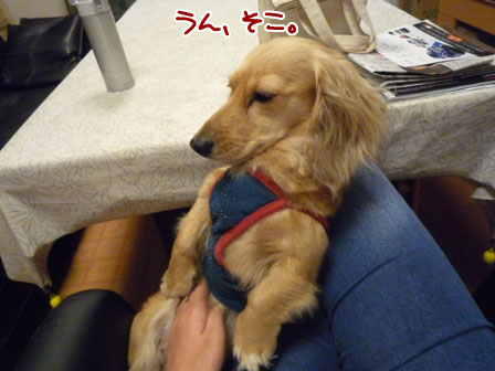 020_20120521233626.jpg