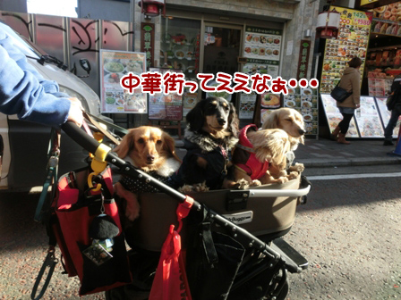 027_201403230027130cc.jpg