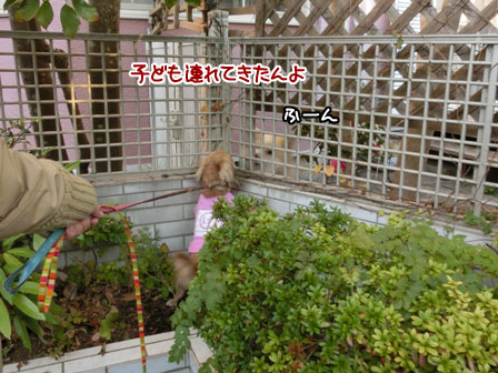 001_2013120221193236d.jpg