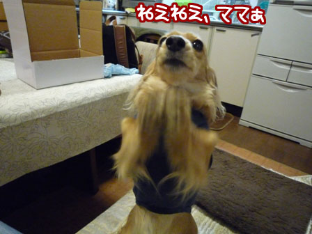004_20120301234106.jpg