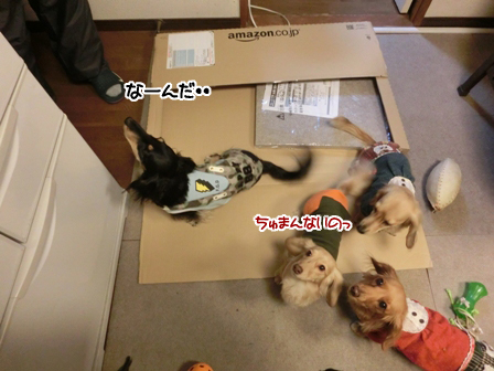 2016011131.jpg