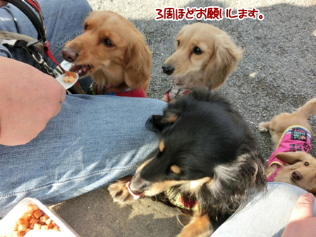 201602223.jpg