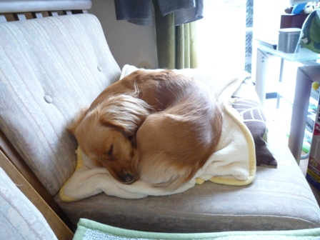 035_20110419224321.jpg