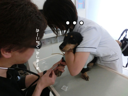 007_20140518001935aef.jpg