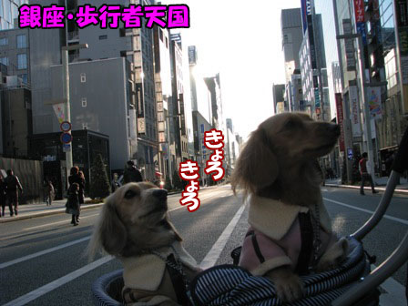 001_20101227000243.jpg