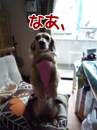 010_20110528004147.jpg