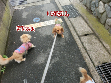 201606073.jpg
