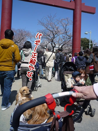 008_20120408223737.jpg