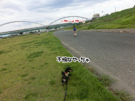 20150922031.jpg