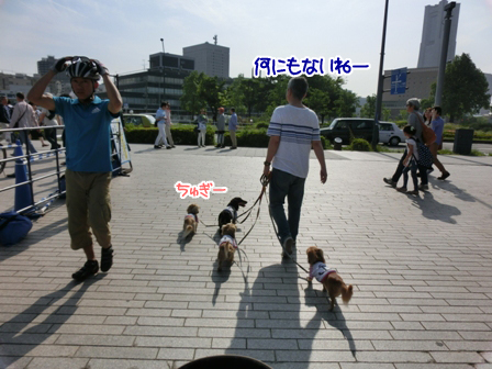 2016051507.jpg