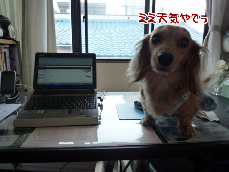 006_20120627231405.jpg