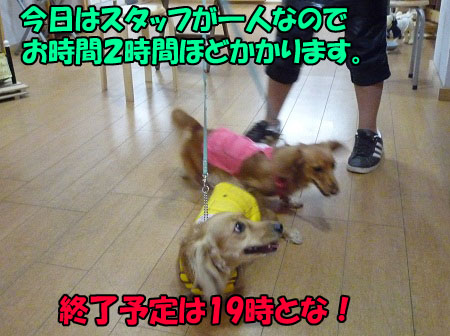 P1010672.jpg