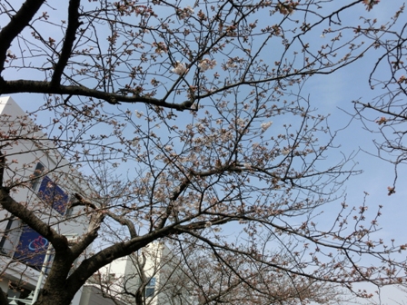 020_20130320233005.jpg