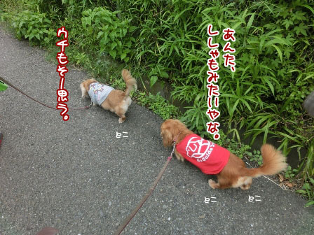 005_20130622213423.jpg