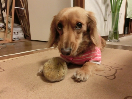 002_20130502215915.jpg
