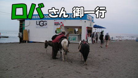005_20110803011425.jpg