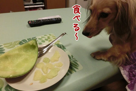 031_2013081923123045d.jpg
