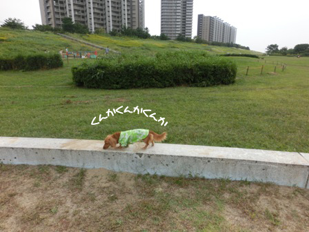20151010032.jpg