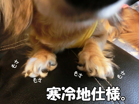 002_20120923230257.jpg