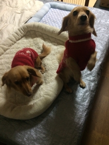 20160123215116393.jpg