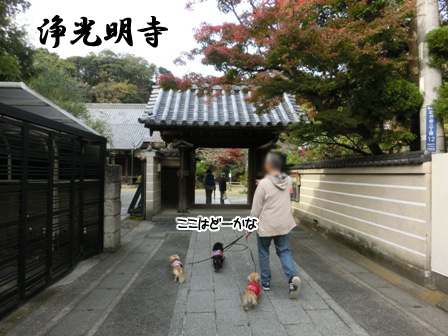 2015113008.jpg