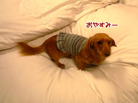 010_20120213222524.jpg