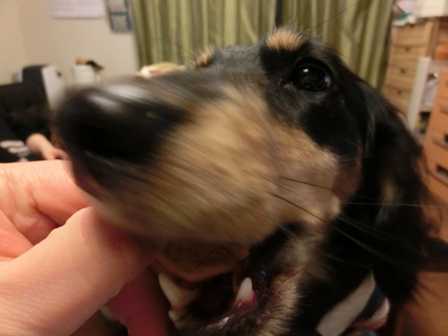 033_201501110041335ed.jpg