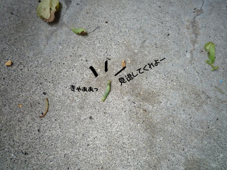 002_20111024232515.jpg