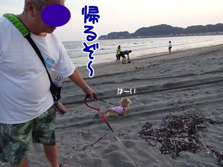 033_2015062523195623f.jpg