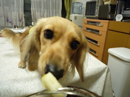 036_20111119233438.jpg