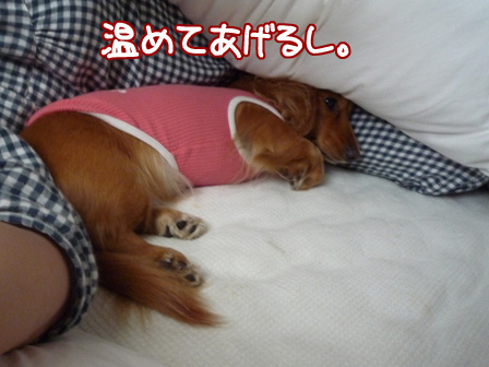 002_20110221211656.jpg