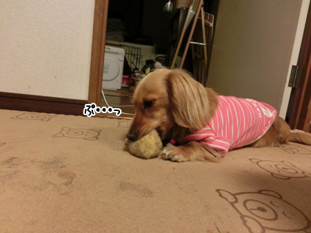 007_20130502215918.jpg
